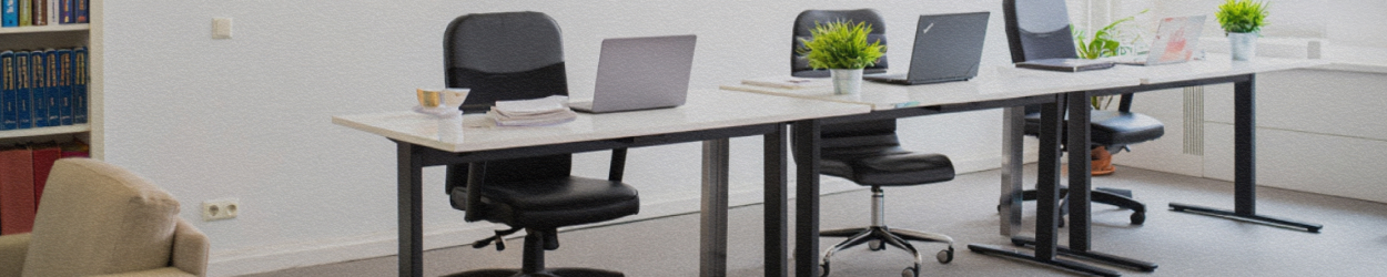 Профессиональный перевод документов в Харькове - Бюро переводов "Какаду"